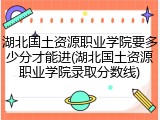 湖北国土资源职业学院要多少分才能进(湖北国土资源职业学院录取分数线)