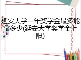 延安大学一年奖学金最多能拿多少(延安大学奖学金上限)