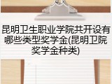 昆明卫生职业学院共开设有哪些类型奖学金(昆明卫院奖学金种类)