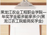 黑龙江农业工程职业学院一年奖学金最多能拿多少(黑龙江农工院最高奖学金)