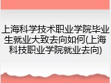 上海科学技术职业学院毕业生就业大致去向如何(上海科技职业学院就业去向)