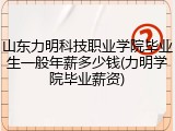 山东力明科技职业学院毕业生一般年薪多少钱(力明学院毕业薪资)