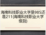 海南科技职业大学是985还是211(海南科技职业大学级别)