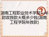 湖南工程职业技术学院一年财政拨款大概多少钱(湖南工程学院年拨款)