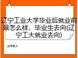 辽宁工业大学毕业后就业前景怎么样，毕业生去向(辽宁工大就业去向)