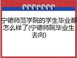 宁德师范学院的学生毕业都怎么样了(宁德师院毕业生去向)