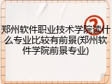 郑州软件职业技术学院读什么专业比较有前景(郑州软件学院前景专业)