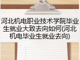 河北机电职业技术学院毕业生就业大致去向如何(河北机电毕业生就业去向)