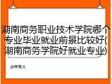 湖南商务职业技术学院哪个专业毕业就业前景比较好(湖南商务学院好就业专业)