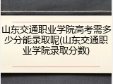 山东交通职业学院高考需多少分能录取呢(山东交通职业学院录取分数)