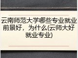 云南师范大学哪些专业就业前景好，为什么(云师大好就业专业)