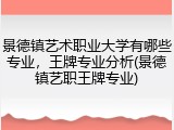 景德镇艺术职业大学有哪些专业，王牌专业分析(景德镇艺职王牌专业)