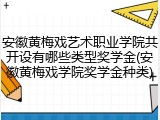 安徽黄梅戏艺术职业学院共开设有哪些类型奖学金(安徽黄梅戏学院奖学金种类)