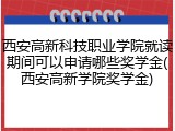 西安高新科技职业学院就读期间可以申请哪些奖学金(西安高新学院奖学金)