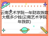 云南艺术学院一年财政拨款大概多少钱(云南艺术学院年拨款)