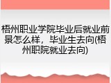 梧州职业学院毕业后就业前景怎么样，毕业生去向(梧州职院就业去向)