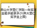 燕山大学里仁学院一年奖学金最多能拿多少(燕大里仁奖学金上限)