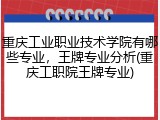 重庆工业职业技术学院有哪些专业，王牌专业分析(重庆工职院王牌专业)