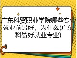广东科贸职业学院哪些专业就业前景好，为什么(广东科贸好就业专业)