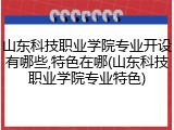 山东科技职业学院专业开设有哪些,特色在哪(山东科技职业学院专业特色)