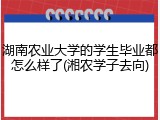 湖南农业大学的学生毕业都怎么样了(湘农学子去向)