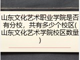 山东文化艺术职业学院是否有分校，共有多少个校区(山东文化艺术学院校区数量)