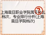 上海震旦职业学院属于什么档次，专业排行分析(上海震旦学院档次)
