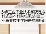赤峰工业职业技术学院是专科还是本科院校呢(赤峰工业职业技术学院是专科吗)
