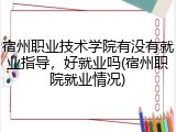 宿州职业技术学院有没有就业指导，好就业吗(宿州职院就业情况)
