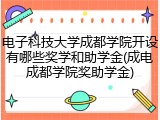 电子科技大学成都学院开设有哪些奖学和助学金(成电成都学院奖助学金)