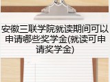 安徽三联学院就读期间可以申请哪些奖学金(就读可申请奖学金)