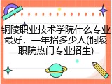 铜陵职业技术学院什么专业最好，一年招多少人(铜陵职院热门专业招生)
