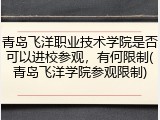 青岛飞洋职业技术学院是否可以进校参观，有何限制(青岛飞洋学院参观限制)
