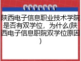 陕西电子信息职业技术学院是否有双学位，为什么(陕西电子信息职院双学位原因)