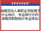 湖南劳动人事职业学院属于什么档次，专业排行分析(湖南劳职院档次专业排名)
