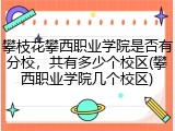 攀枝花攀西职业学院是否有分校，共有多少个校区(攀西职业学院几个校区)
