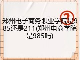 郑州电子商务职业学院是985还是211(郑州电商学院是985吗)