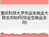 重庆科技大学毕业生就业大致去向如何(毕业生就业去向)