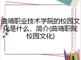 曲靖职业技术学院的校园文化是什么，简介(曲靖职院校园文化)