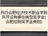 民办合肥经济技术职业学院共开设有哪些类型奖学金(合肥经院奖学金类别)