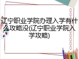 辽宁职业学院办理入学有什么攻略没(辽宁职业学院入学攻略)