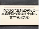 山东文化产业职业学院是一本吗录取分数线多少(山东文产院分数线)