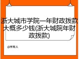 浙大城市学院一年财政拨款大概多少钱(浙大城院年财政拨款)