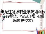 黑龙江能源职业学院知名校友有哪些，校史介绍(龙能院校史校友)