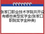 张家口职业技术学院共开设有哪些类型奖学金(张家口职院奖学金种类)