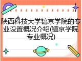 陕西科技大学镐京学院的专业设置概况介绍(镐京学院专业概况)