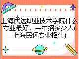 上海民远职业技术学院什么专业最好，一年招多少人(上海民远专业招生)