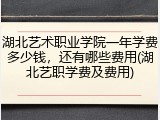 湖北艺术职业学院一年学费多少钱，还有哪些费用(湖北艺职学费及费用)