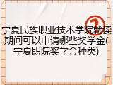 宁夏民族职业技术学院就读期间可以申请哪些奖学金(宁夏职院奖学金种类)