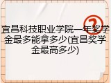 宜昌科技职业学院一年奖学金最多能拿多少(宜昌奖学金最高多少)